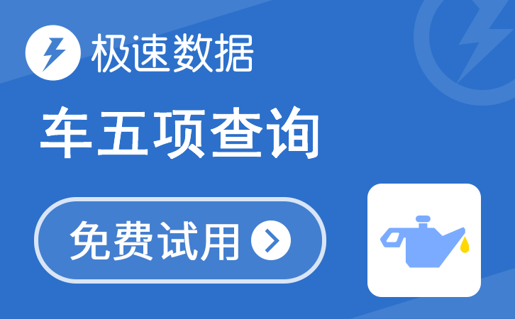 车五项查询