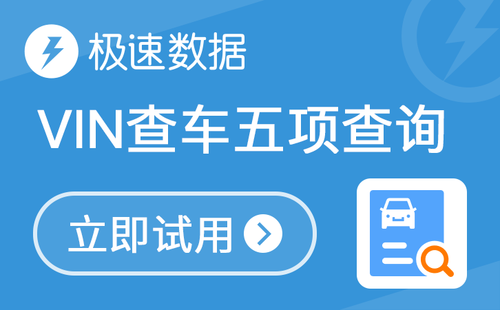 VIN查车五项